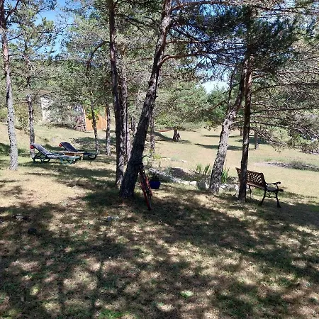Kır Evi Petit Dans La Prairie *